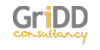 Logo GriDD consultancy