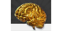 Logo Train Your Brain